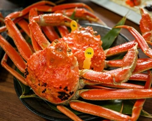 越前がにの堪能コース